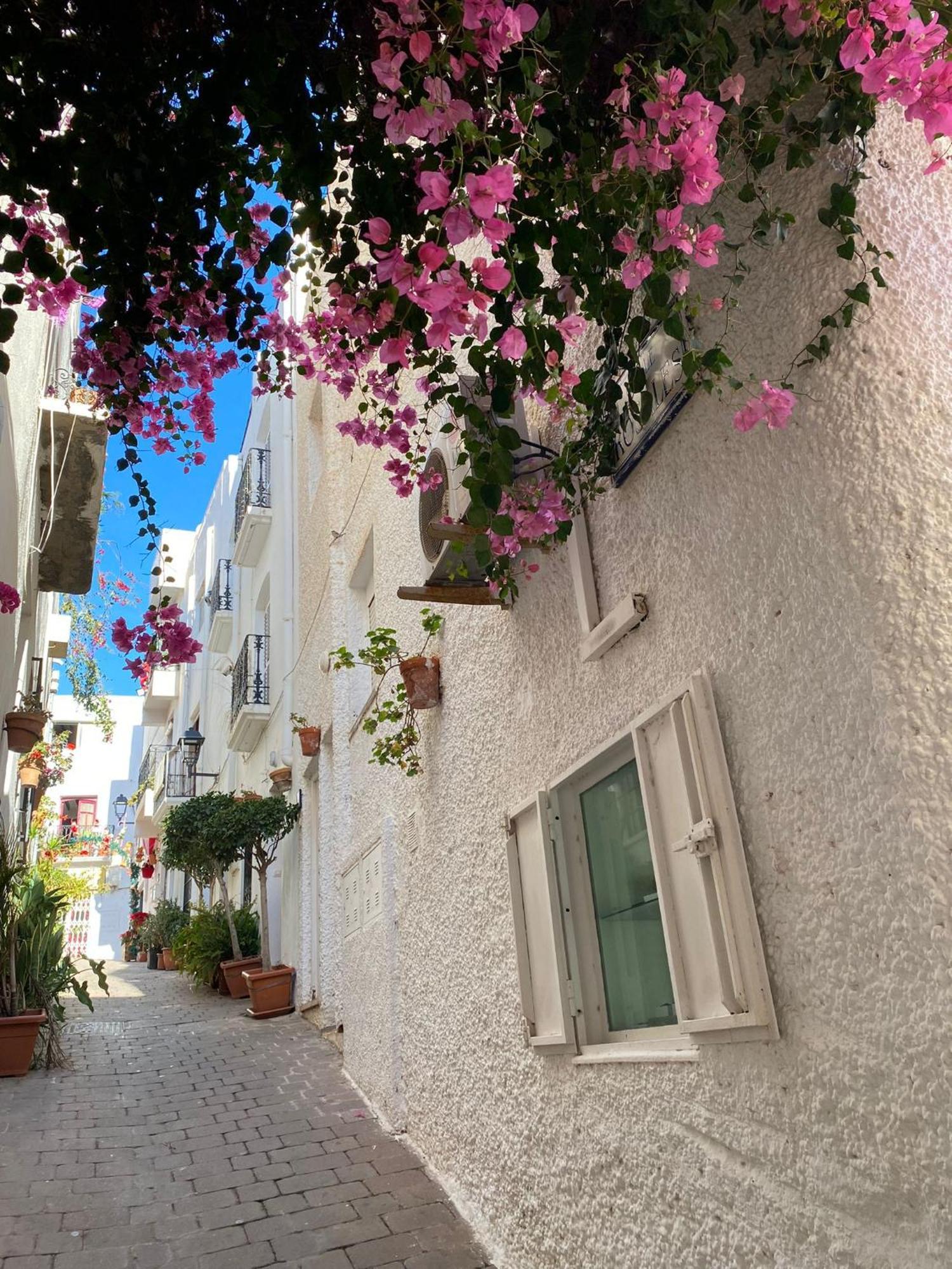 Aura Mar Mojacar Apartment Kültér fotó